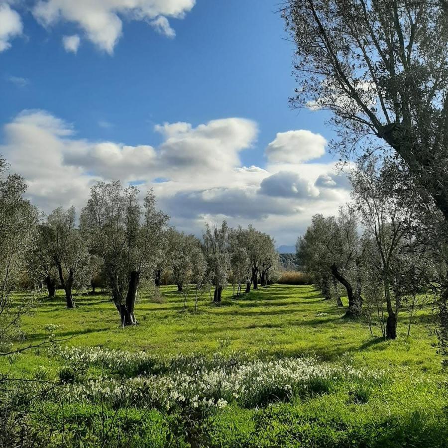 Hotel Tenuta Le Tre Querce Seminara Exteriér fotografie