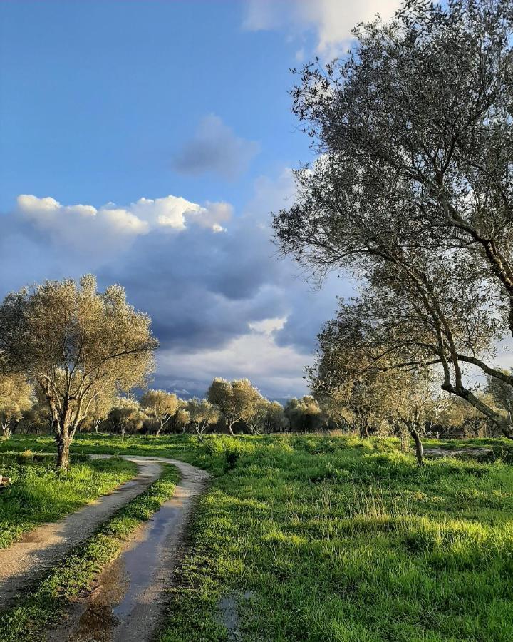 Hotel Tenuta Le Tre Querce Seminara Exteriér fotografie